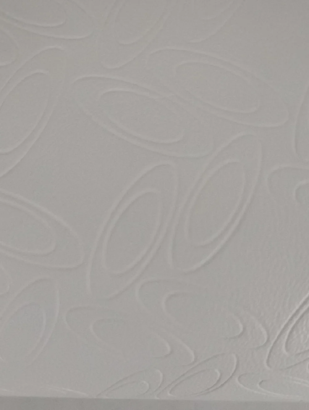 Oakley White Hard Shell Eyeglass Case